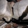 Теплообмінник (Радіатор масляний) Citroen C3 1.4hdi, 1.6hdi 2002-2009 13219-01 - 3