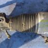 Амортизатор передний левый пневматический VW Touareg 2002-2010 7L6412021T 16125 - 3