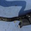 Педаль газа электр пластик Fiat Doblo 2000-2009 0280752295 16528 - 3