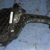Педаль зчеплення VW Golf (VI) 2008-2013 1k0721796 33307 - 3
