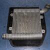 Радиатор интеркулера Kia Carens 2002-2006 2827127350 33903 - 3