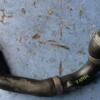 Патрубок системы охлаждения VW Caddy 2.0tdi 16V (III) 2004-2015 3C0121087A 36310 - 3