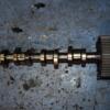 Шестерня распредвала VW Passat 1.9tdi (B6) 2005-2010 038109111E 43172-01 - 3