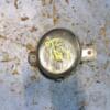 Фара противотуманная правая Nissan Primera (P12) 2002-2007 8200002470 45640 - 3