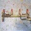 Регулятор тиску палива Nissan Almera 1.5 16V, 1.8 16V (N16) 2000-2006 0280160640 45813 - 3