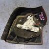 Фонарь левый хетчбэк 04- Toyota Corolla (E12) 2001-2006 49784 - 4