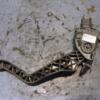 Педаль газа электр пластик Citroen C3 1.4 8V 2002-2009 6PV009083-01 50423 - 3