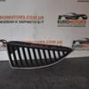 Решітка радіатора ліва Mitsubishi Lancer IX 2003-2007 MN126473 75754 - 3