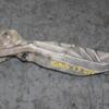 Кронштейн роздавальної коробки Suzuki Ignis 1.3 16V 2003-2008 84853 - 3