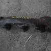 Коллектор выпускной Mercedes C-class 2.2cdi (W203) 2000-2007 A6111420501 95563 - 3