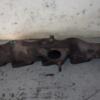 Коллектор выпускной Nissan Almera 2.2dCi (N16) 2000-2006 100149 - 3