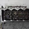 Головка блоку Nissan Navara 2.5dCi 2005-2015 11039EB30A 101417 - 11