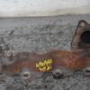 Коллектор выпускной Nissan Navara 2.5dCi 2005-2015 14004EC00B 101450 - 3
