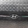 Решетка радиатора Hyundai Tucson 2004-2009 863512 109809 - 3