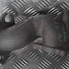 Колектор турбіни Citroen Jumper 2.0jtd 2002-2006 111481 - 3