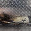 Рульова рейка Ford Fusion 2002-2012 2N113200ED 112938 - 4