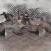 Колектор випускний Citroen Jumpy 2.0jtd 8V 1995-2007 113223 - 3