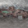 Коллектор выпускной Kia Sorento 2.5crdi 2002-2009 116493 - 3