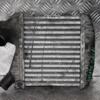 Радіатор інтеркулера Smart Fortwo 0.8cdi 1998-2007 0002490V005 117086 - 3