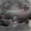 Коллектор турбины Kia Carnival 2.9crdi 1999-2006 123513 - 3