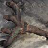 Коллектор выпускной Citroen Jumper 2.5d 1994-2002 98465560 124324 - 3