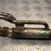 Охолоджувач ОГ (Радіатор EGR) Renault Megane 1.9dCi (II) 2003-2009 8200426934 126592 - 3