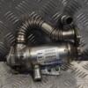 Охолоджувач ОГ (Радіатор EGR) 06- Renault Master 2.5dCi 1998-2010 A2C53089287 161917 - 3