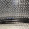 Підсилювач заднього бампера Audi A4 (B8) 2007-2015 8T0807313 169037 - 3