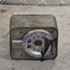 Теплообмінник (Радіатор масляний) VW Passat 2.0tdi 8V (B6) 2005-2010 038117021B 181926 - 3