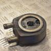 Теплообменник (Радиатор масляный) Opel Vivaro 1.9dCi 2001-2014 3743011 173498 - 2