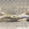 Коллектор впускной метал Subaru Forester 2.5 16V 2002-2007 200853 - 3