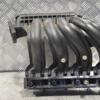 Колектор впускний пластик Mercedes C-class 2.2cdi (W203) 2000-2007 A6110903637 220253 - 3