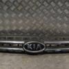 Решітка радіатора -08 Kia Sportage 2004-2010 863501F030 194818 - 3