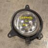 Фара противотуманная левая -06 Kia Sorento 2002-2009 922013E0 221368 - 3