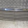 Решітка радіатора -00 Mercedes E-class (W210) 1995-2002 A2108880023 224640 - 3