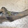 Важіль задній поздовжній правий Mitsubishi ASX 2010 4125A014 224969 - 3