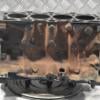 Блок двигателя (дефект) Renault Kangoo 1.5dCi 1998-2008 229929 - 6
