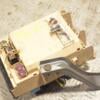 Блок запобіжників Lexus RX 2003-2009 827300W440 244354 - 3
