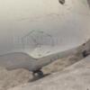 Бампер задній (дефект) Nissan Note (E11) 2005-2013 850229U040 211048 - 2