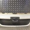 Решітка радіатора (дефект) Citroen Jumper 2006-2014 1308068070 234736 - 4