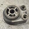 Теплообмінник (Радіатор масляний) Renault Kangoo 1.5dCi 1998-2008 8200267937 235010 - 4