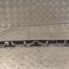 Панель подсветки номера Peugeot 206 1998-2012 9642338977 251546 - 4