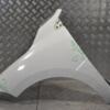 Крило переднє праве Renault Megane (III) 2009-2016 8200993338 252691 - 3