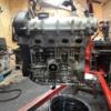 Двигун (під МКПП) VW Bora 1.4 16V 1997-2005 AUA BF-503 - 6
