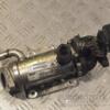Охладитель ОГ (Радиатор EGR) Renault Trafic 2.0dCi 2001-2014 8200340616 256981 - 3