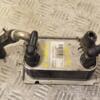 Теплообмінник АКПП (Радіатор масляний) Ford C-Max 2.0tdci 2010 6G917A095AD 267425 - 3