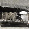 Поддон двигателя масляный Mercedes Sprinter 2.2cdi (901/905) 1995-2006 R6110140902 273875 - 3