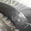 Крыло переднее правое -10 Nissan Qashqai 2007-2014 277553 - 5
