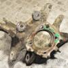 Цапфа права під ABS BMW 5 (F10/F11) 2009-2016 6796100 310590 - 3