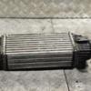 Радіатор інтеркулера Citroen C5 2.0hdi 2008-2017 9683009680 313635 - 3